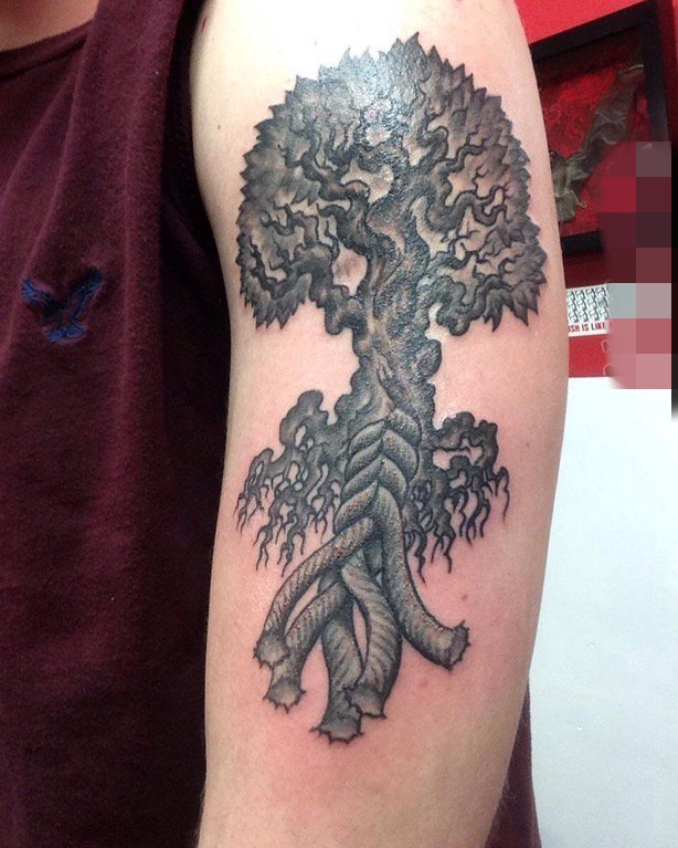 点击大图看下一张：男生手臂上黑白植物点刺技巧生命树纹身图片