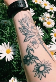 女生喜爱的植物素材文艺花朵纹身图案