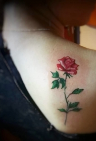 时尚女孩后背一只红玫瑰纹身图案