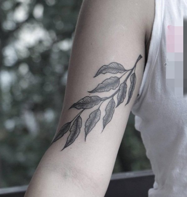 点击大图看下一张：象征着秋天到来的植物素材叶子纹身图案