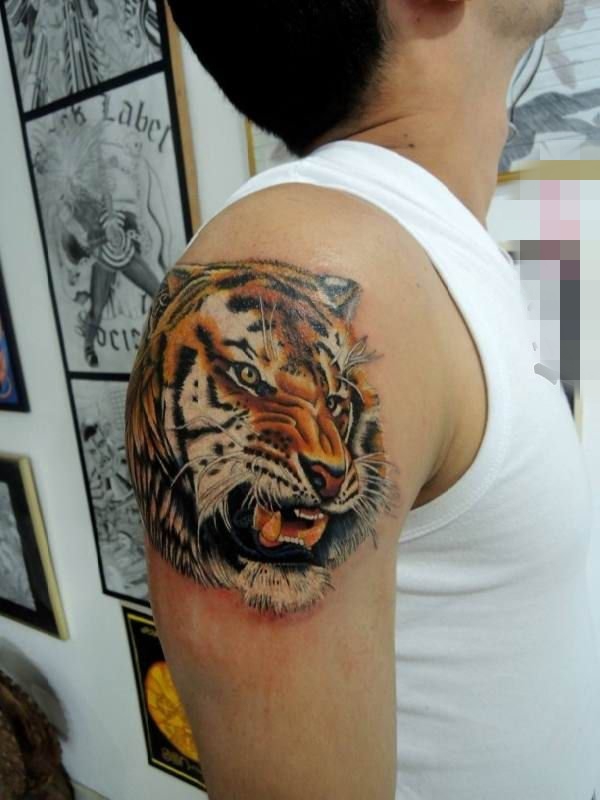 点击大图看下一张：霸气侧漏的彩绘动物简单个性线条老虎头纹身图案