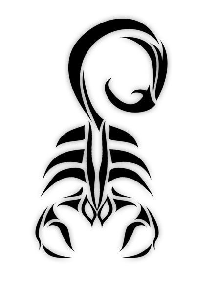 点击大图看下一张：黑色的几何线条蝎子纹身动物图腾纹身手稿