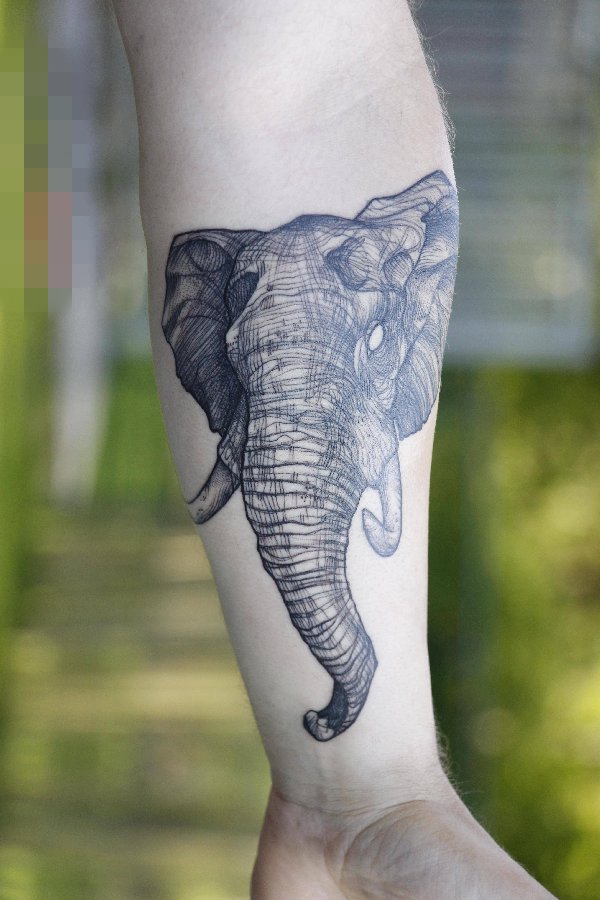 点击大图看下一张：男生手臂上黑色素描创意动物大象纹身图片