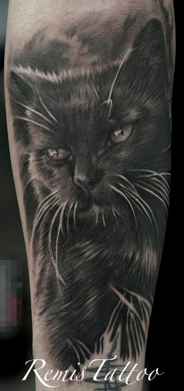 点击大图看下一张：男生手臂上黑色素描点刺技巧创意猫纹身图片