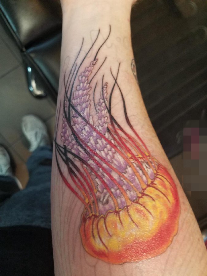 点击大图看下一张：男生大腿上彩绘抽象线条小动物水母纹身图片