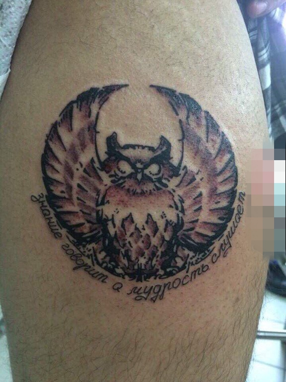 点击大图看下一张：男生手臂上彩绘猫头鹰纹身图片