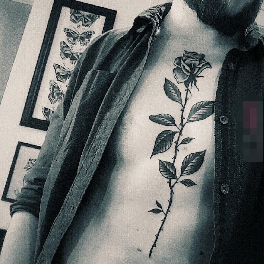 点击大图看下一张：男生胸部黑灰点刺技巧植物素材玫瑰纹身图片