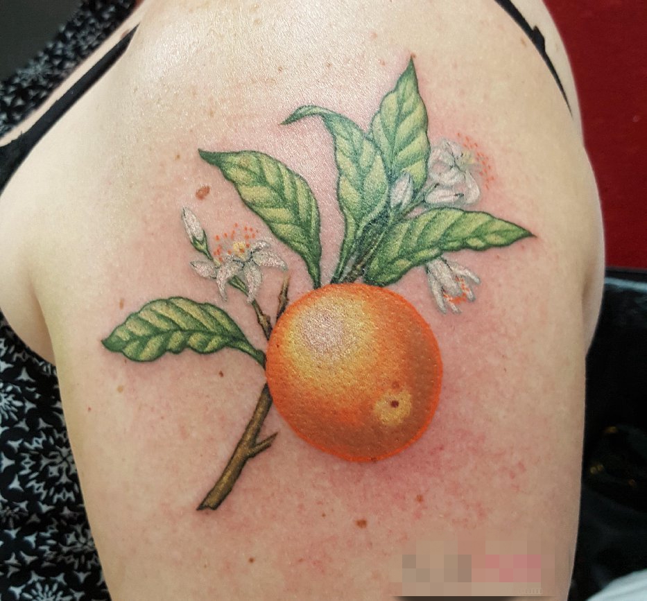 点击大图看下一张：女生手臂上彩绘技巧植物素材香橙树枝纹身图片