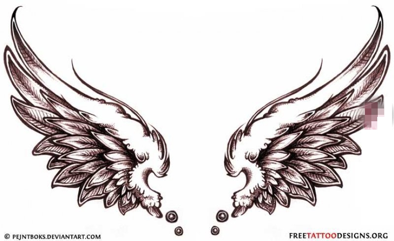 点击大图看下一张：黑色的素描风格羽毛大型天使翅膀纹身手稿