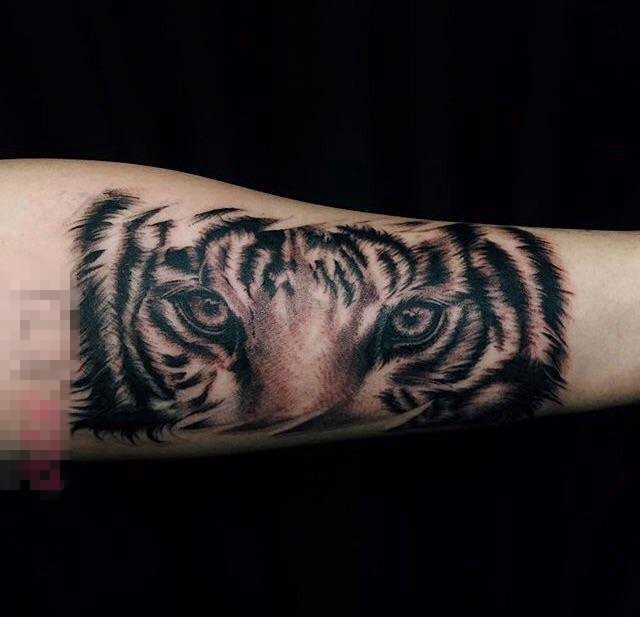 点击大图看下一张：男生手臂上黑灰点刺技巧动物老虎纹身图片