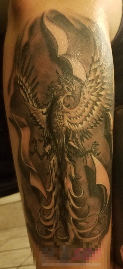 点击大图看下一张：男生手臂上黑灰色极具创意的凤凰展翅纹身图片