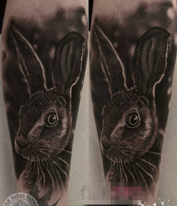 点击大图看下一张：女生大腿上黑灰素描超写实3d兔子纹身图片