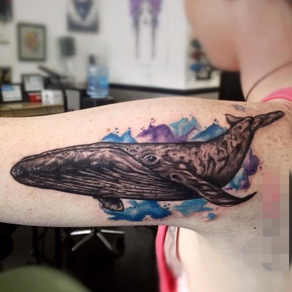 点击大图看下一张：女生手臂上黑色素描鲸彩绘喷墨纹身图片