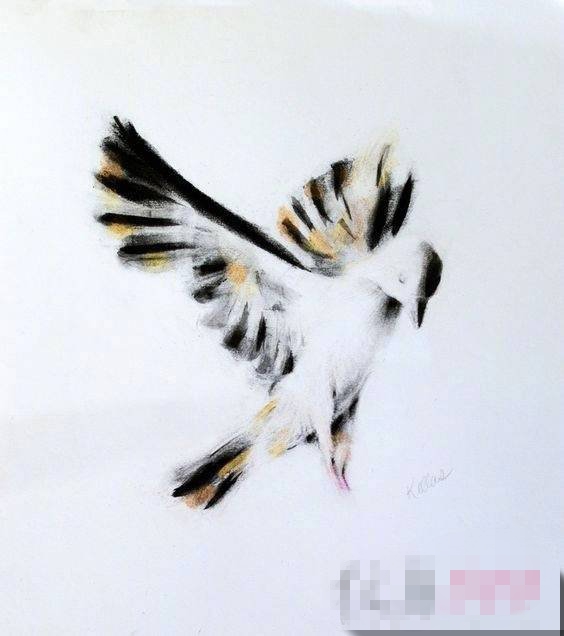 点击大图看下一张：彩绘虚实结合水墨唯美小鸟纹身手稿