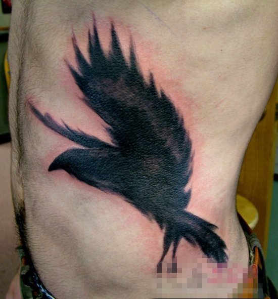 点击大图看下一张：多款关于鸟类的黑色素描轮廓创意个性纹身图案