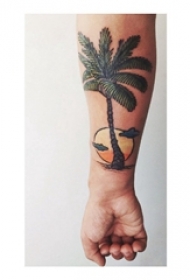 男生手臂上彩绘夕阳下的椰子树纹身图片
