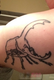 男生手臂上黑色简约线条创意昆虫纹身图片