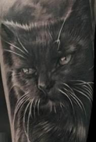 男生手臂上黑色素描点刺技巧创意猫纹身图片