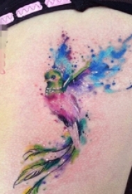 女生胸下彩绘水彩创意泼墨小鸟纹身图片