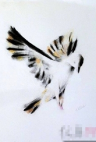 彩绘虚实结合水墨唯美小鸟纹身手稿