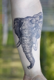 男生手臂上黑色素描创意动物大象纹身图片