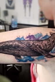 女生手臂上黑色素描鲸彩绘喷墨纹身图片