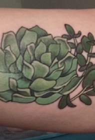 男生手臂上彩绘清新多肉植物纹身图片