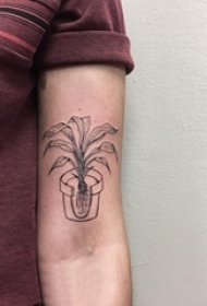 男生手臂上黑色线条素描文艺盆栽纹身图片