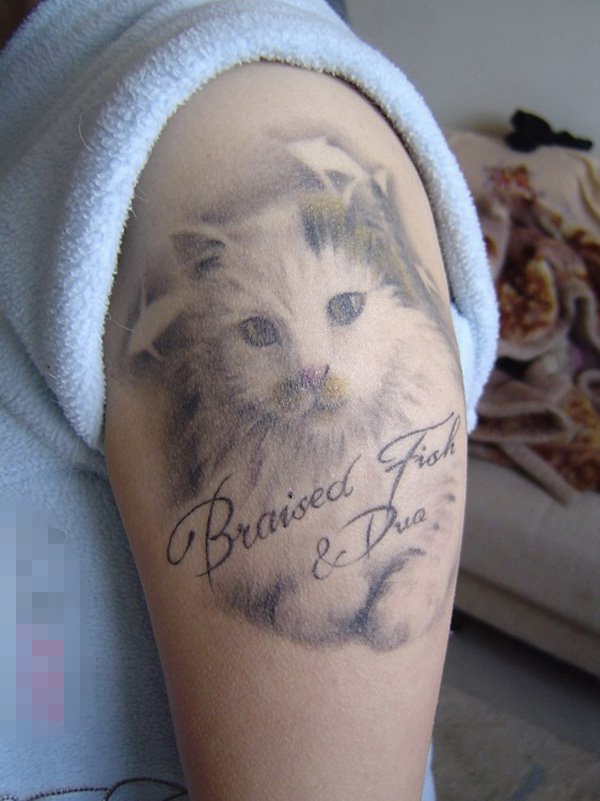 点击大图看下一张：多款关于猫的创意个性素描抽象纹身图案