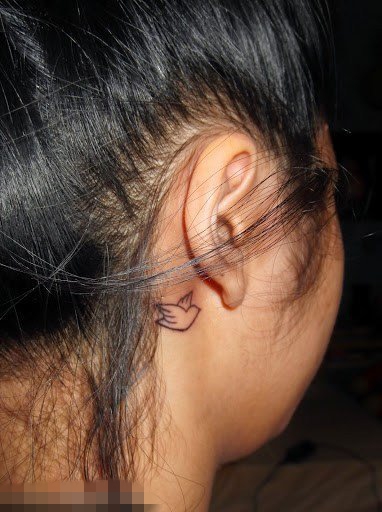 点击大图看下一张：女生耳后黑色线条简约小鸟轮廓小图案纹身图片