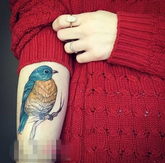 点击大图看下一张：女生手臂上彩绘水彩创意可爱小鸟纹身图片