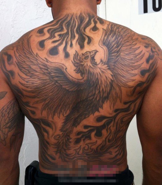 点击大图看下一张：男生背部黑色线条素描创意凤凰大面积纹身图片