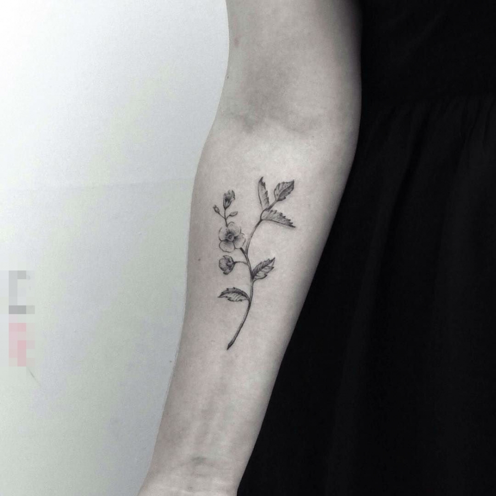 点击大图看下一张：女生手臂上黑色素描创意花束纹身图片