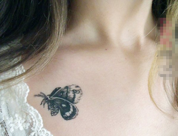 点击大图看下一张：女生锁骨下黑色线条素描唯美蝴蝶纹身图片