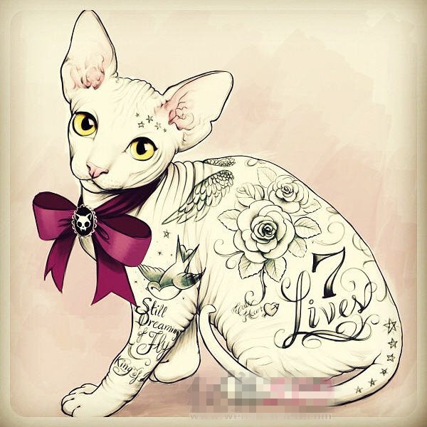 点击大图看下一张：彩绘水彩创意唯美花纹可爱猫咪纹身手稿