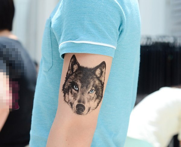 点击大图看下一张：男生手臂上黑色点刺凶残小动物狼纹身图片