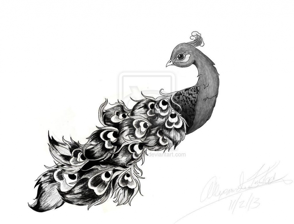 点击大图看下一张：黑灰素描创意动物唯美孔雀纹身手稿