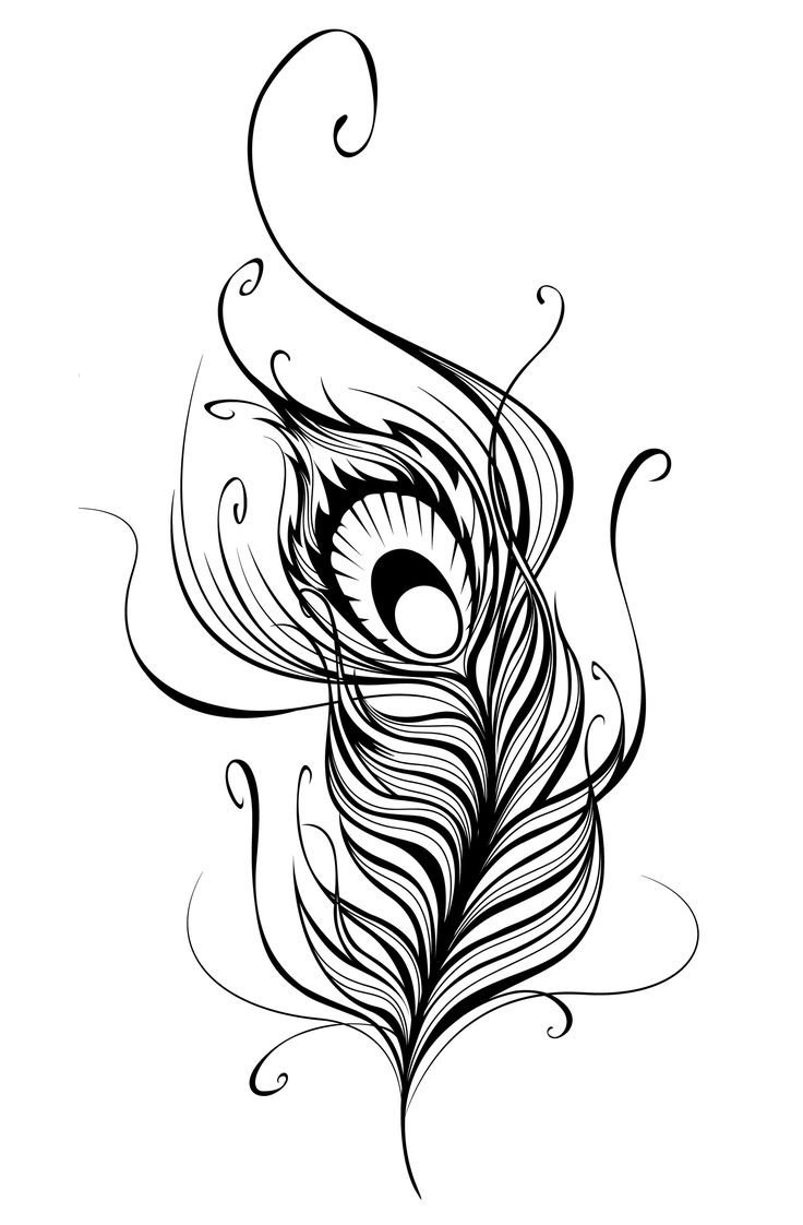 点击大图看下一张：黑灰素描创意唯美唯美羽毛纹身手稿