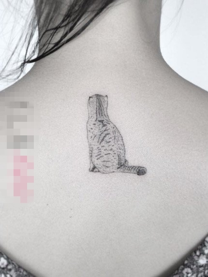 点击大图看下一张：女生后背上黑灰色简约线条宠物猫纹身图片