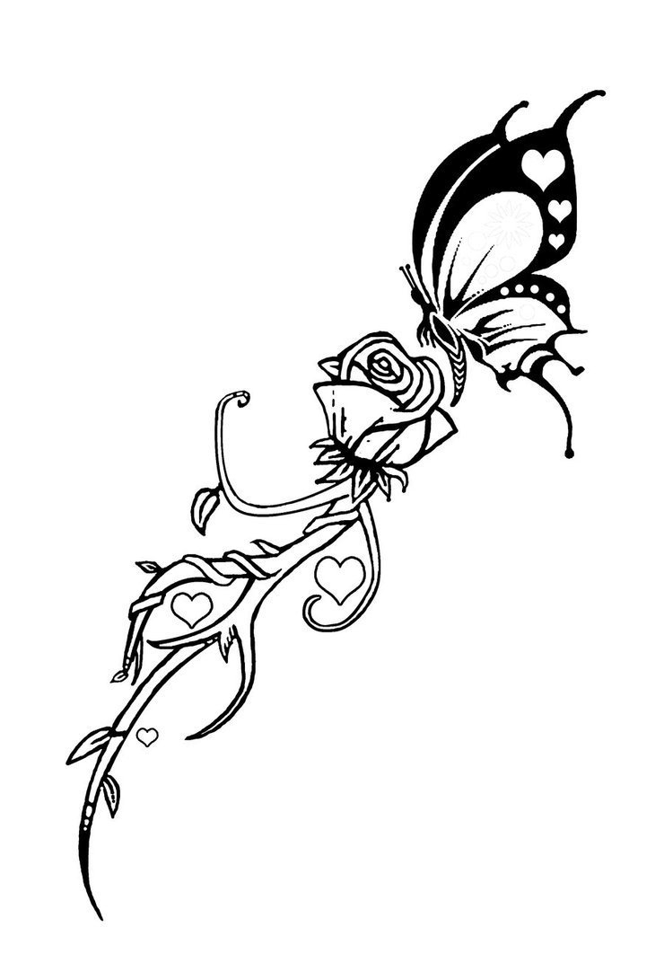 点击大图看下一张：黑色线条素描创意文艺唯美蝴蝶和玫瑰纹身手稿
