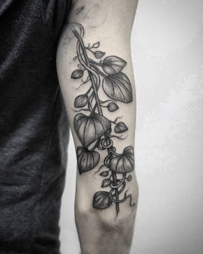 点击大图看下一张：多款关于弯弯的黑色抽象线条植物藤纹身图案