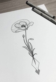 简洁的黑色植物素材抽象线条花朵纹身手稿