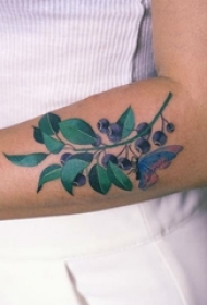 女生手臂上彩绘清新植物与蝴蝶纹身图片
