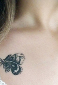 女生锁骨下黑色线条素描唯美蝴蝶纹身图片