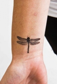 男生手腕上黑色点刺小动物蜻蜓纹身图片