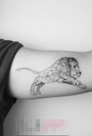 男生手臂上黑灰素描几何元素霸气动物狮子纹身图片