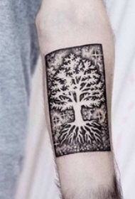 男生手臂上黑色几何线条植物生命树纹身图片
