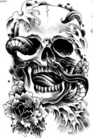 黑灰素描创意蛇和骷髅创意骷髅花朵纹身手稿