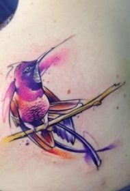 女生肩部彩绘抽象线条小动物蜂鸟纹身图片