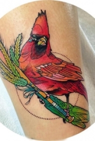 女生小腿上彩绘植物叶子和小鸟纹身图片